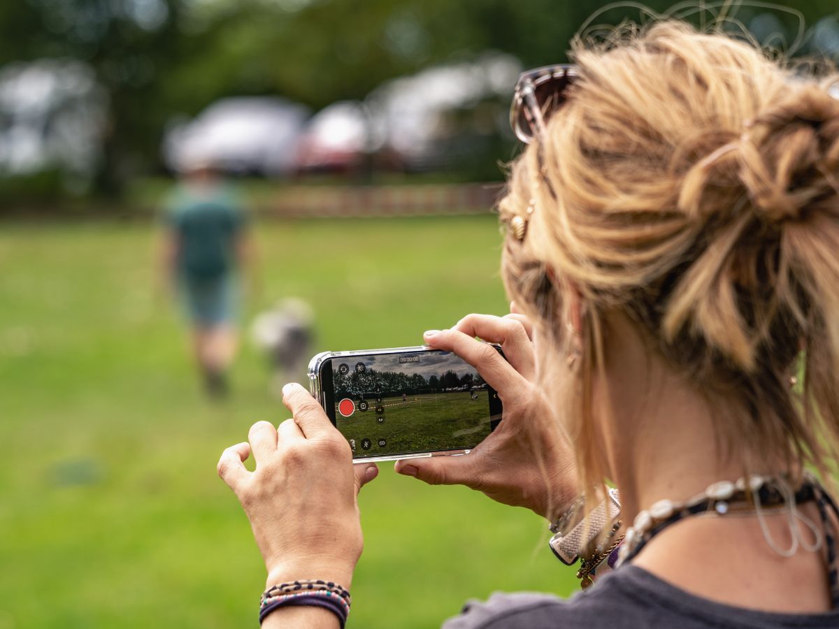 Hundetraining online mit dem Pfotentrainer